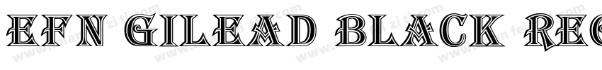 EFN Gilead Black Reg字体转换
